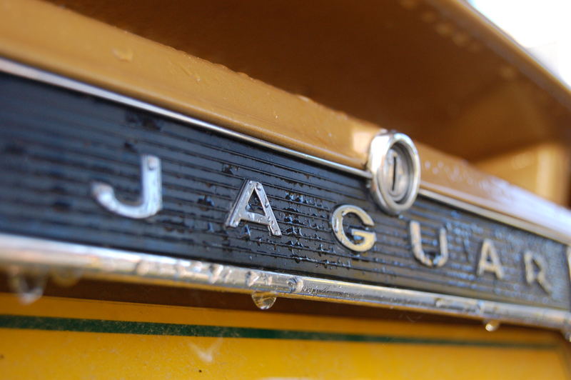 Jag in the Rain