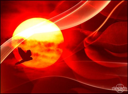 Jagd vor dem Sonnenuntergang