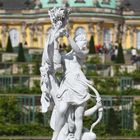 Jagderfolg im Schlossgarten von Sanssouci