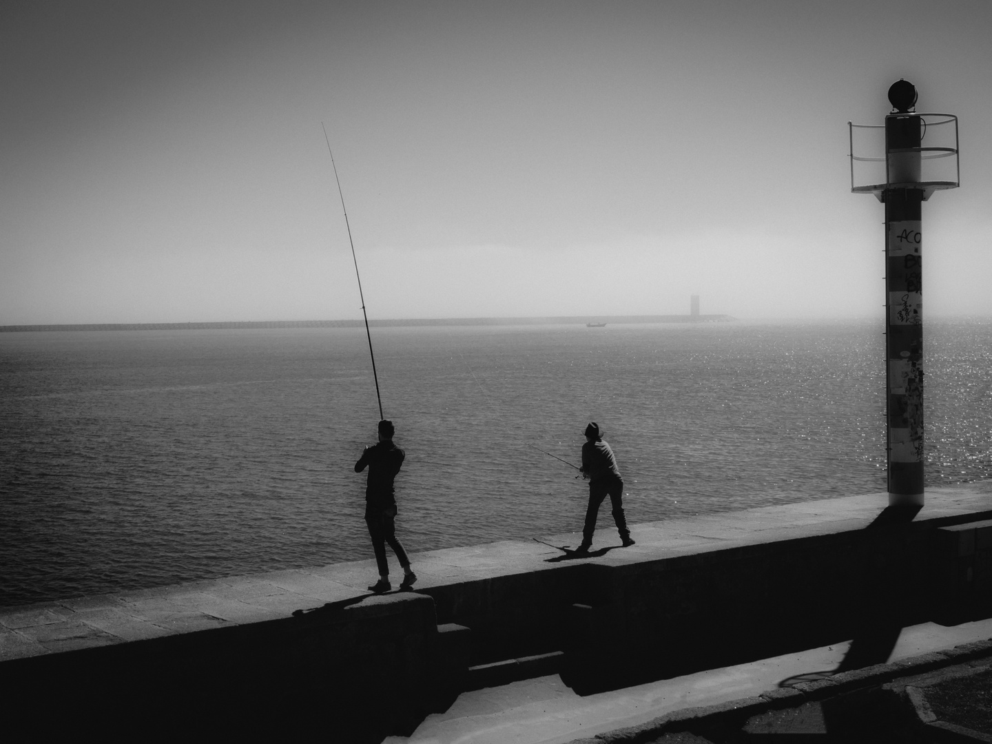 Jagdfieber - Impression im Hafen von Porto-