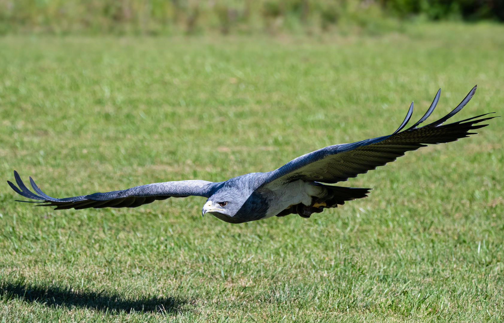 Jagdflieger