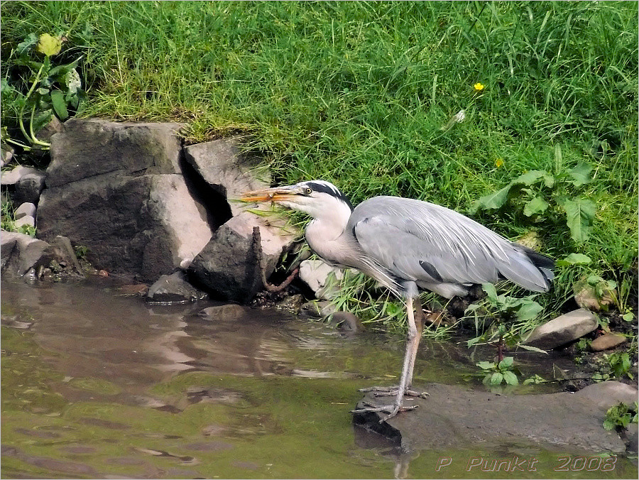 Jagdglück