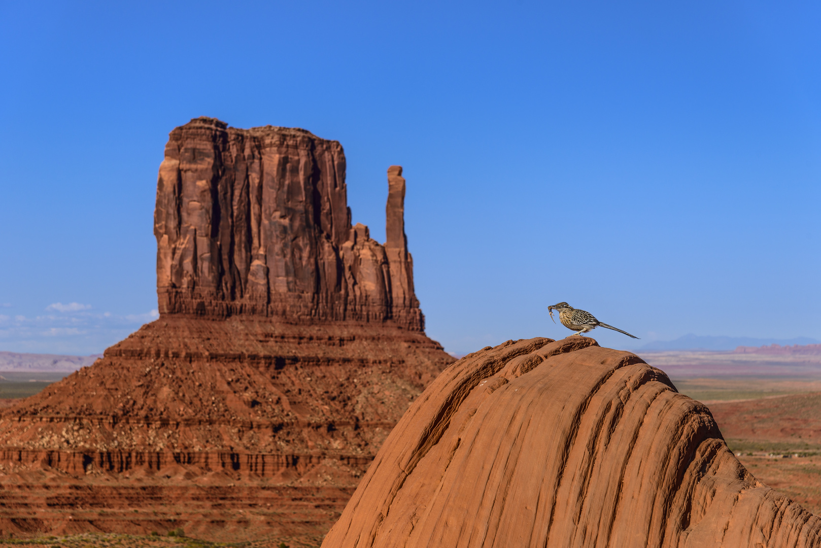 Jagdglück, Monument Valley, Arizona, USA