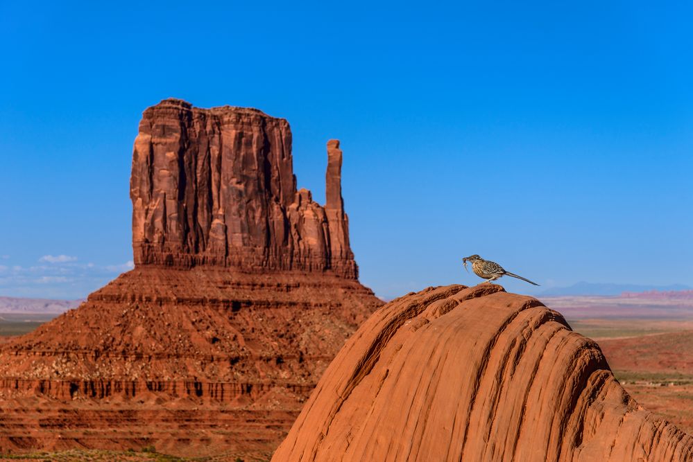 Jagdglück, Monument Valley, Arizona, USA