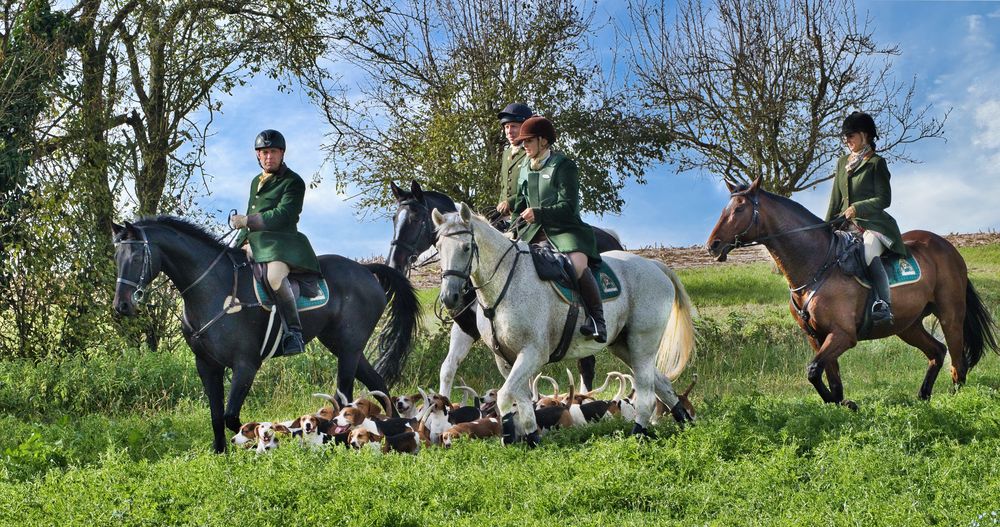 "Jagdherren Jagd" 2023 rund um die Ronneburg.