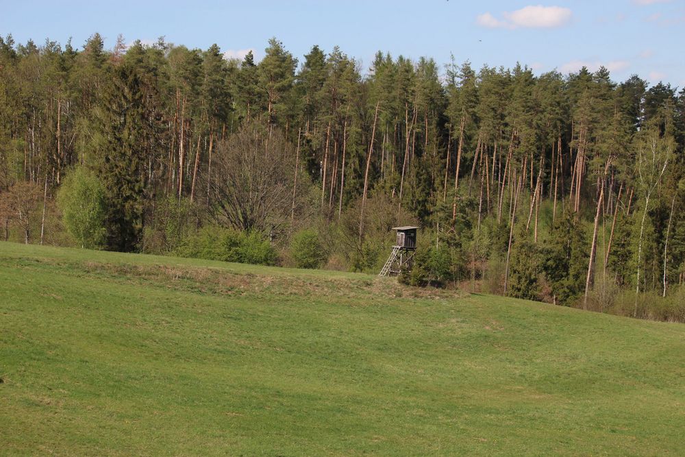 Jagdhochtstand am Waldesrand