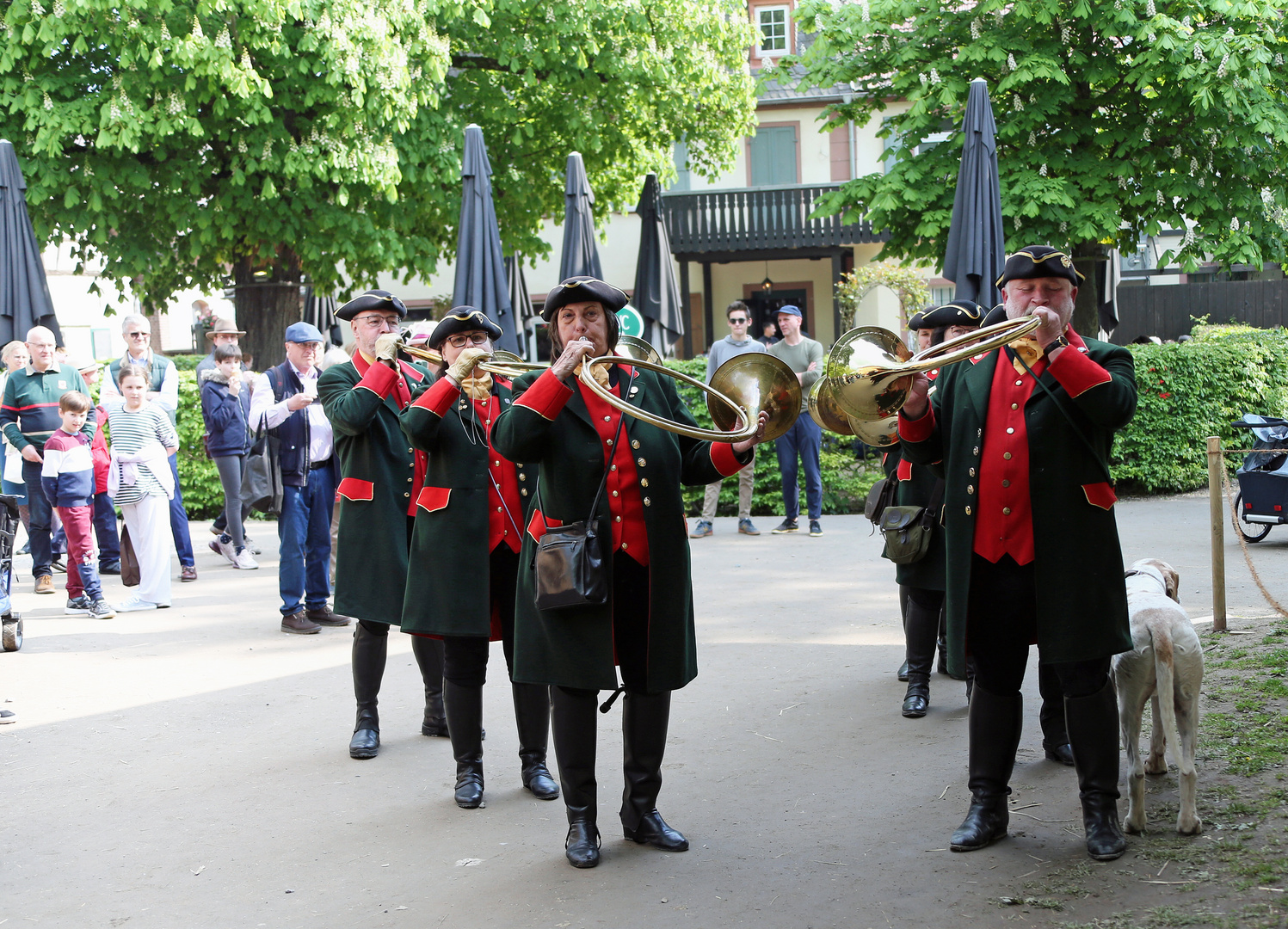 Jagdhornbläsergruppe "Rallye Rheingau"