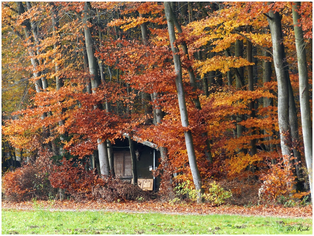 Jagdhütte am Waldesrand ,