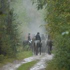 Jagdimpressionen (Schleppjagd mit der Frankenmeute) im Regen