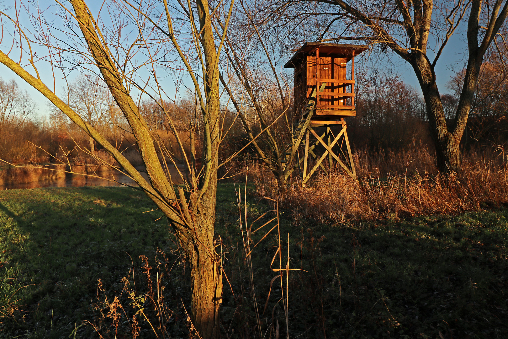 Jagdkanzel am Teich