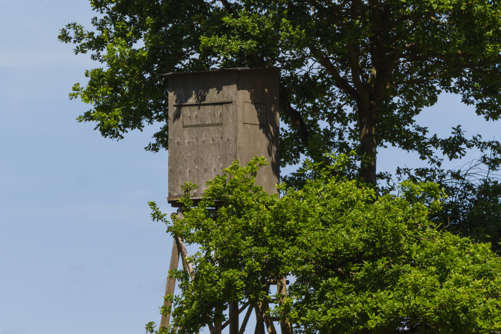 Jagdkanzel und Baum