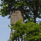 Jagdkanzel und Baum