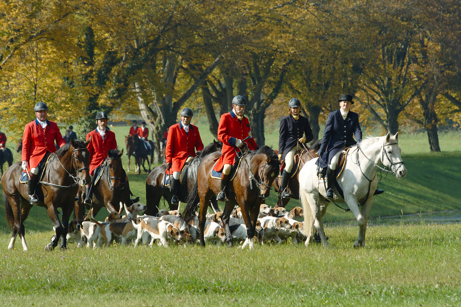 Jagdmeute