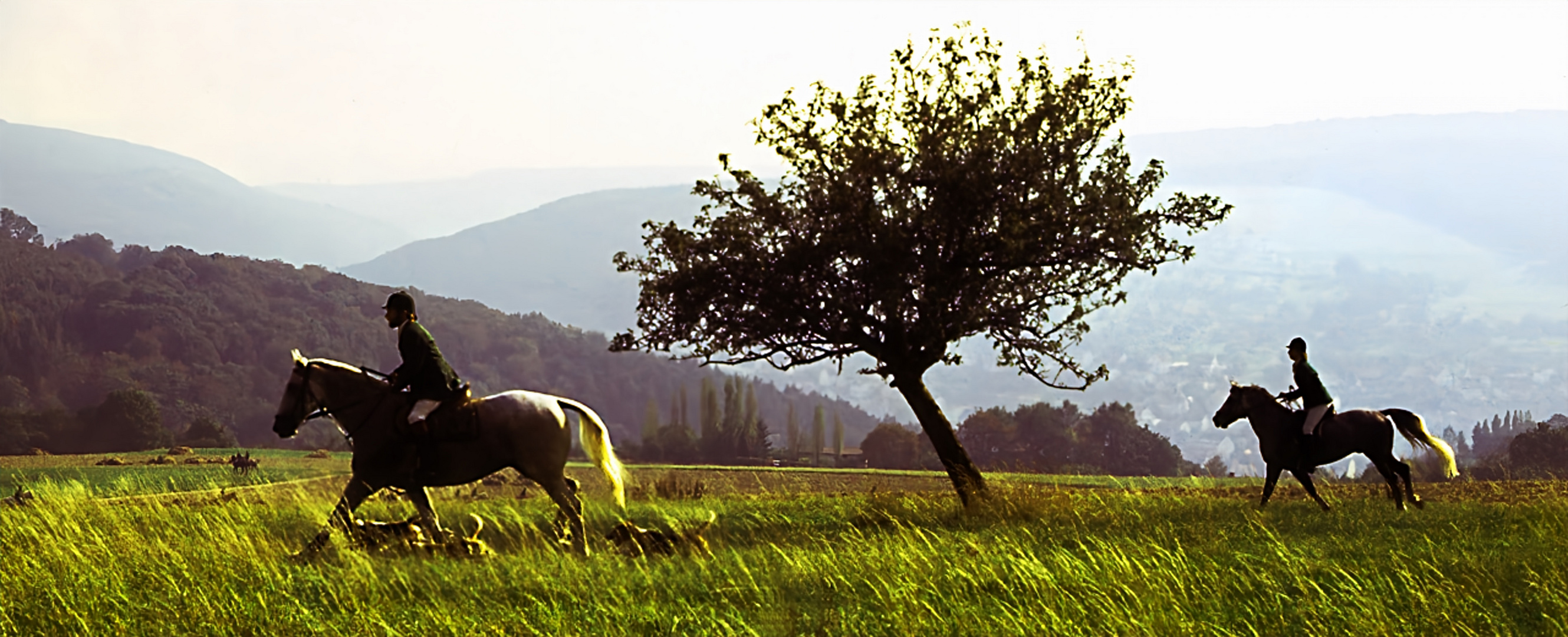 Jagdreiten im Taunus