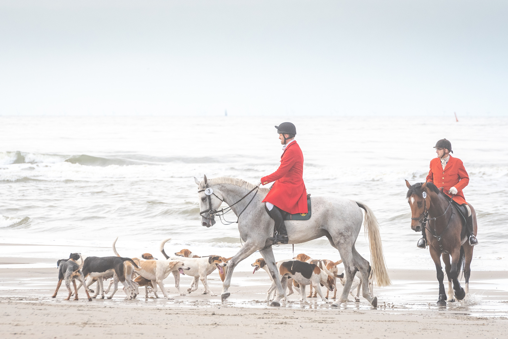 Jagdreitertage Norderney 2018