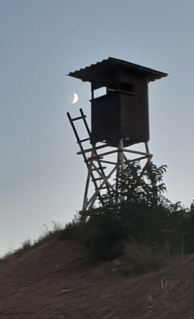 Jagdrevier bei zunehmendem Mond