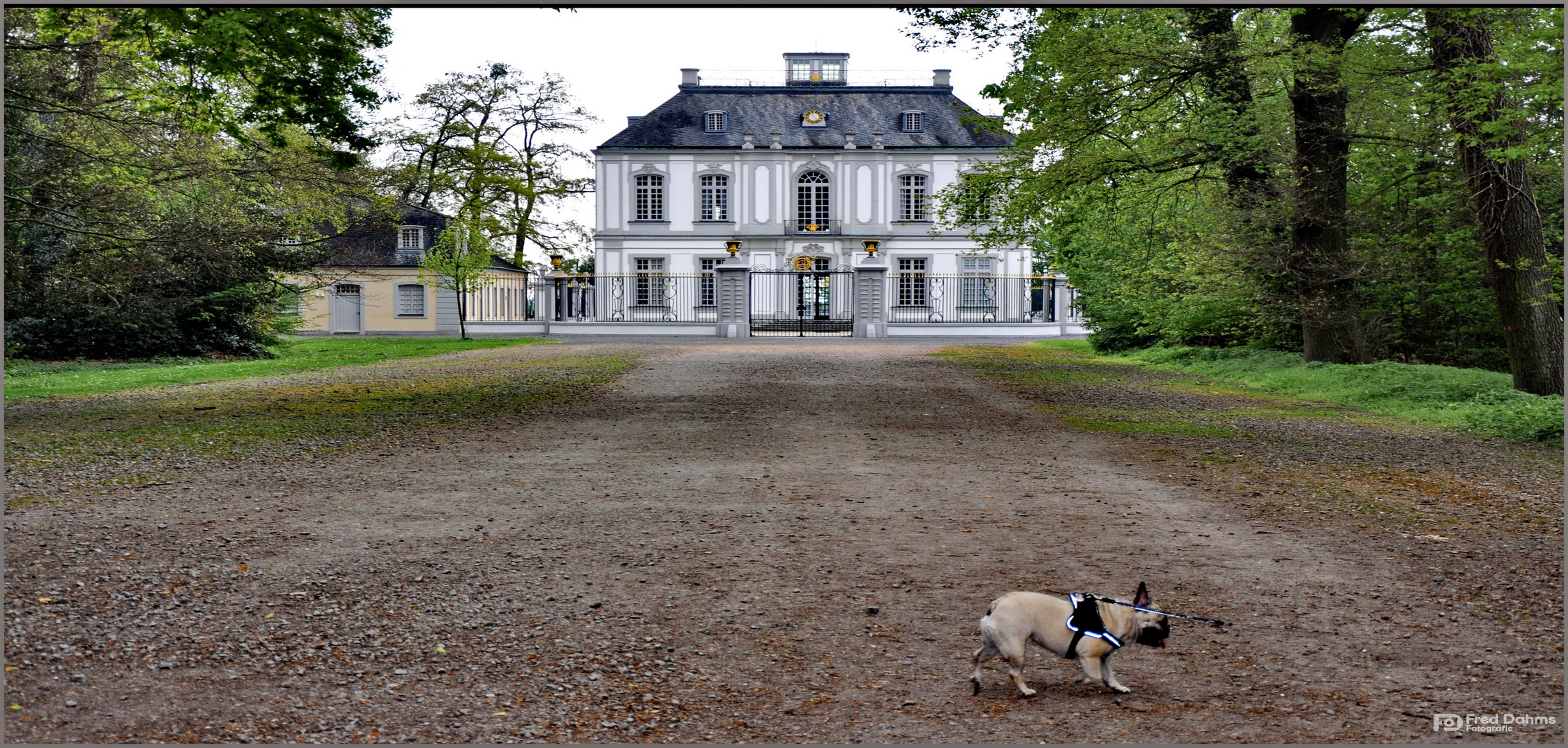 Jagdschloss Falkenlust