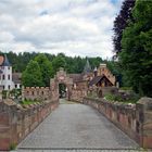 jagdschloss "fröhliche wiederkunft (3) ...