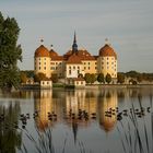 Jagdschloss Moritzburg