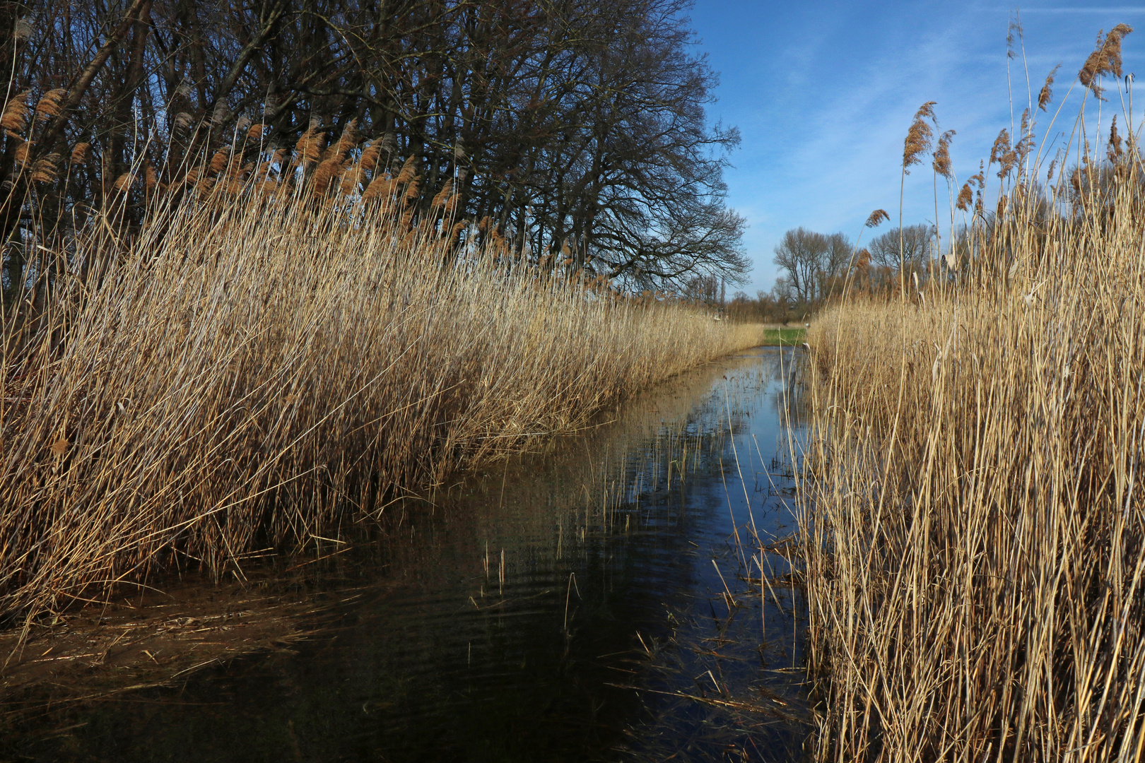 Jagdschneise unter Wasser