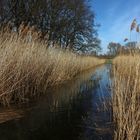 Jagdschneise unter Wasser