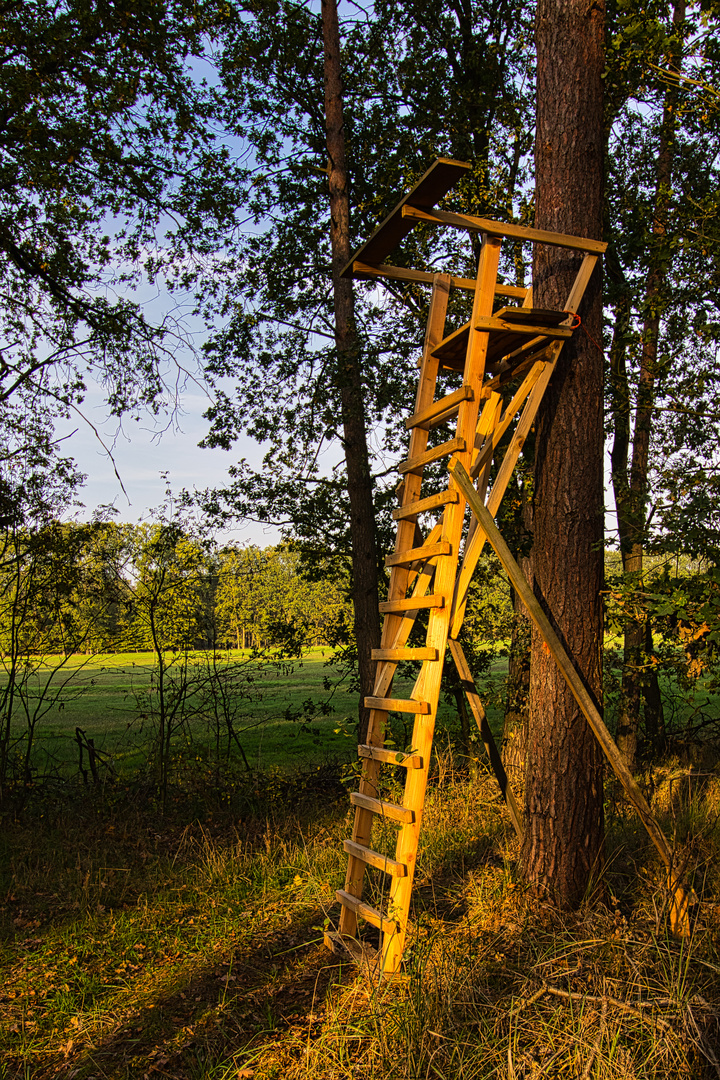 Jagdstand