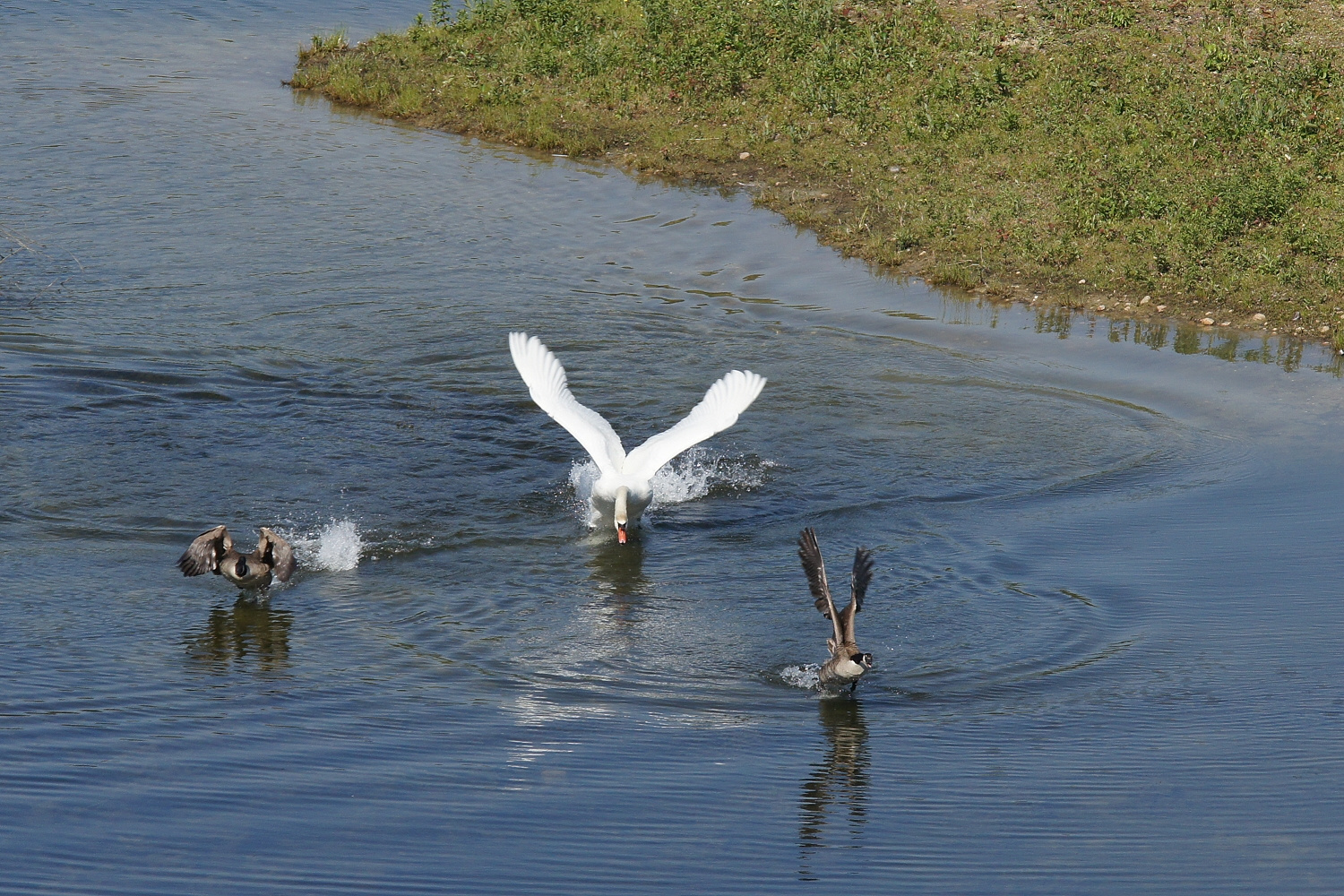 Jagdszenen am Gehspitzweiher