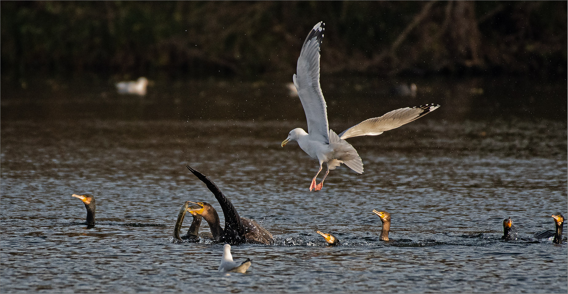 Jagdszenen am See   . . .