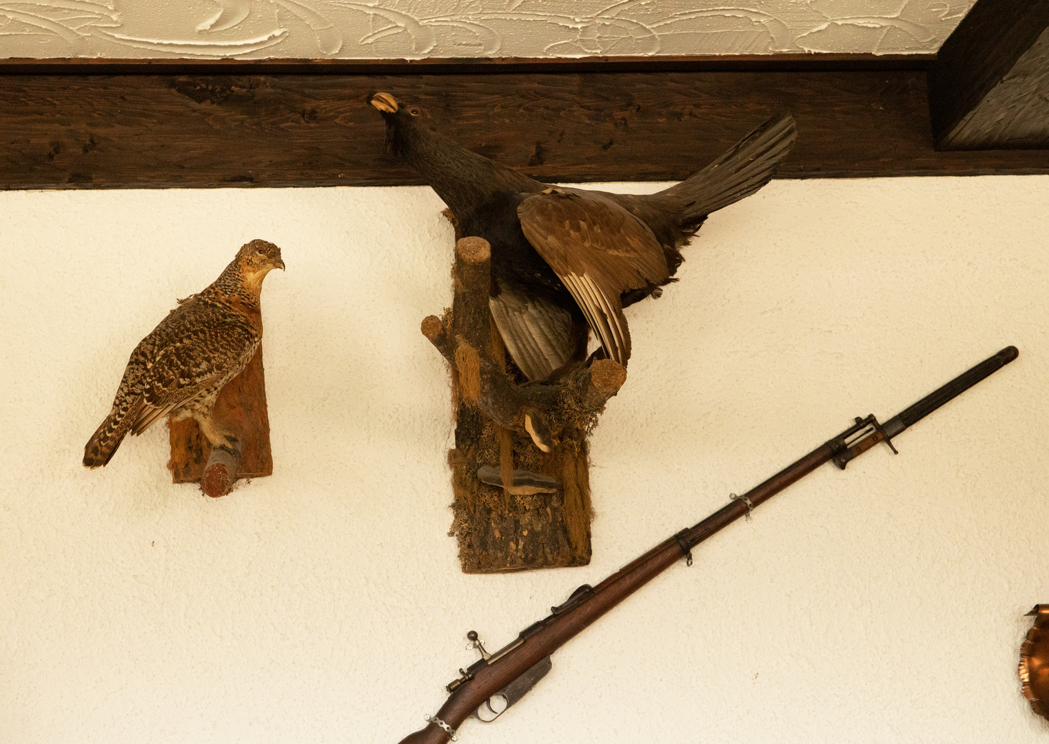 Jagdtrophäen  im Hochschwarzwald