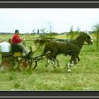 Jagdwagen-mit-Synchronantrieb