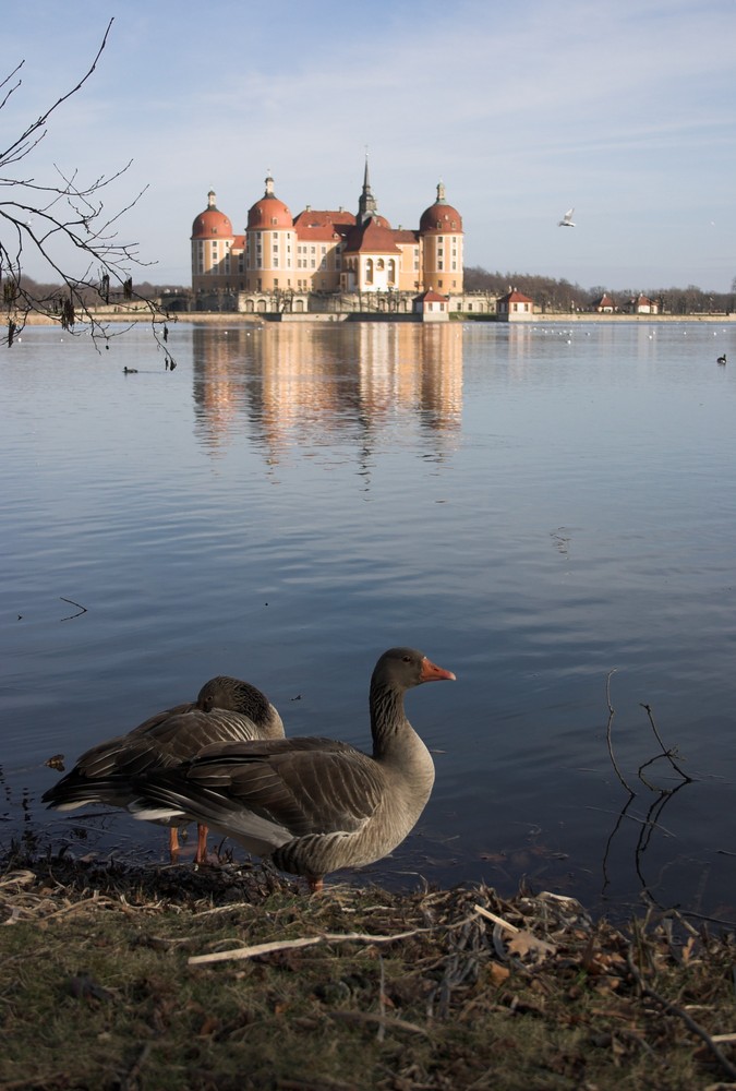 Jagtschloss Moritzburg bei Dresden