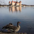 Jagtschloss Moritzburg bei Dresden