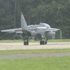 Jaguar at R.A.F coltishall