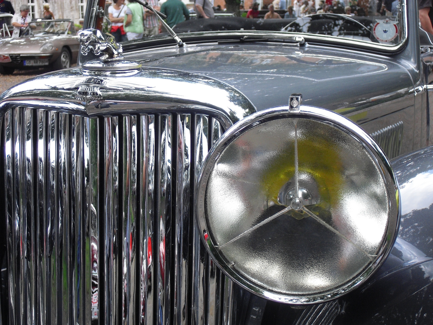 Jaguar bei den Niederelbe Classics