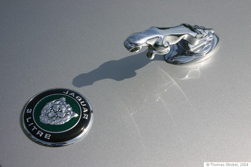 Jaguar Detail