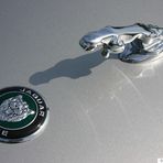 Jaguar Detail