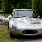 Jaguar   e - Type