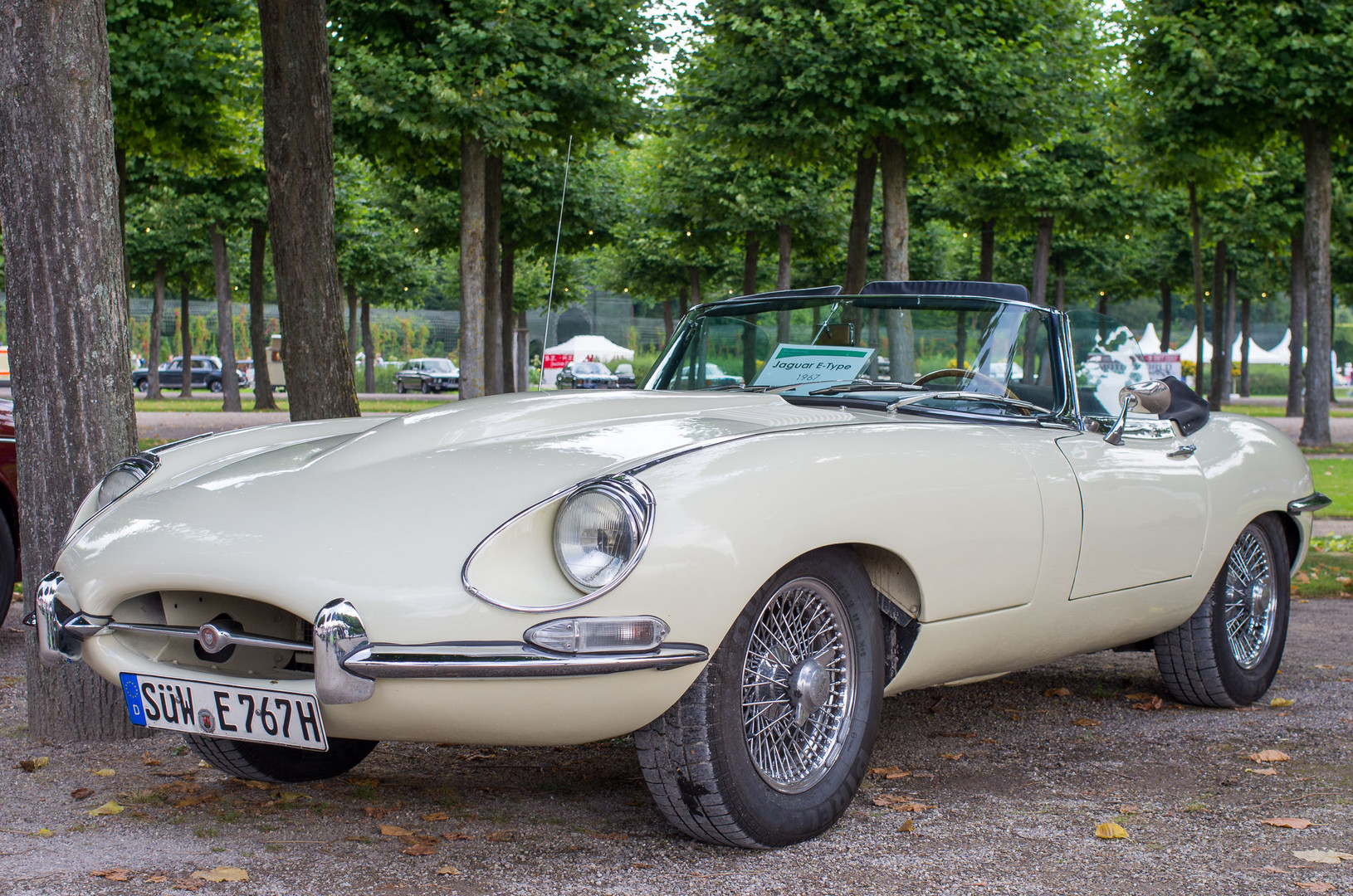 Jaguar E-Type