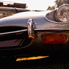 Jaguar E-Type