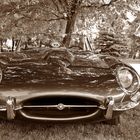 Jaguar E Type - Oldies im Park