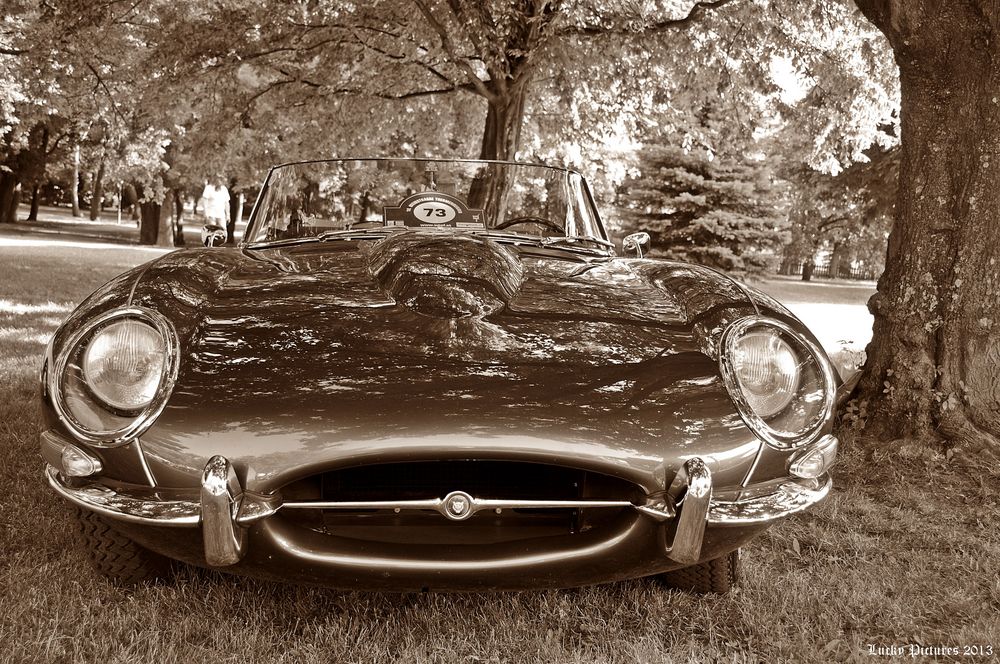 Jaguar E Type - Oldies im Park