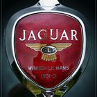 Jaguar-Emblem