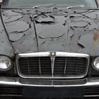 Jaguar Gebrauchtwagen, Top Zustand, 1A Lackqualität...