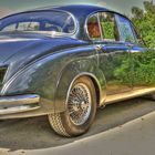 Jaguar in HDR