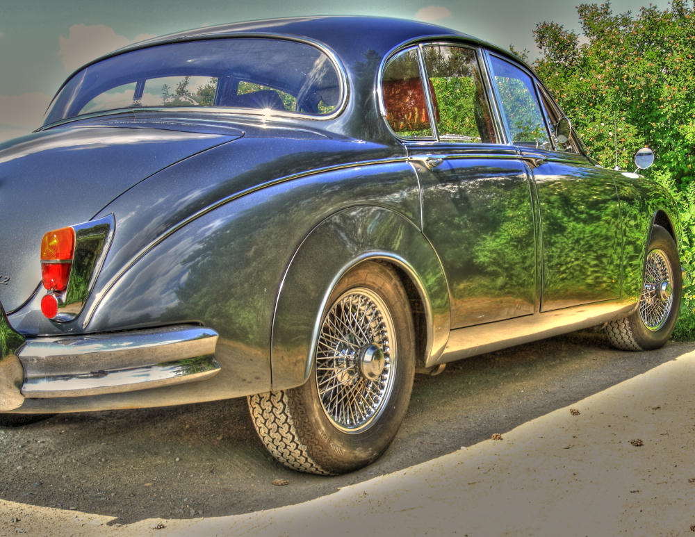 Jaguar in HDR