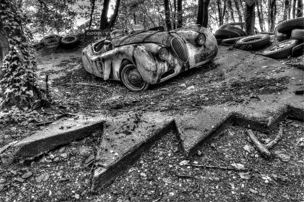 Jaguar in Hochform...