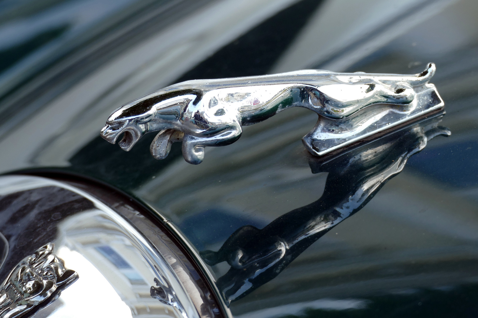 Jaguar-Kühlerfigur
