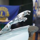 Jaguar Kühlerfigur