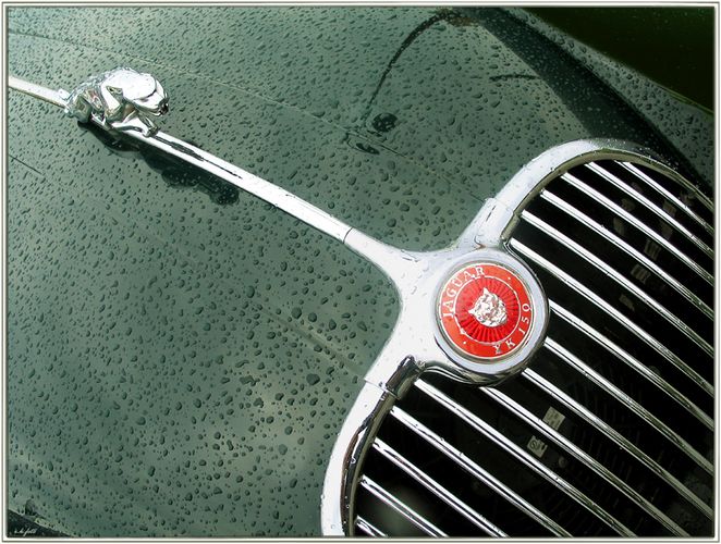 Jaguar Oldtimer