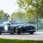 Jaguar Project 7